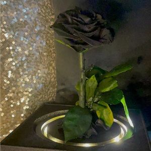 Beauty & the Beast Black Forever Rose with LED Light Great Gift